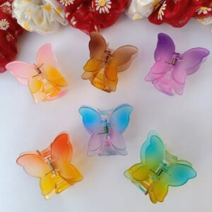 Dual-Colour-Butterfly-Double-Wing-Claws